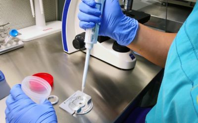 Situation des donneurs de gamètes dans les principaux pays européens qui le pratiquent et actualité européenne